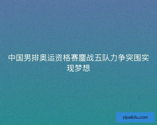 中国男排奥运资格赛鏖战五队力争突围实现梦想