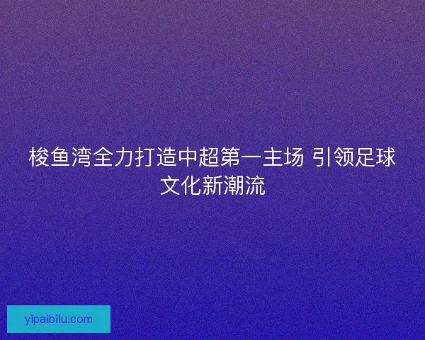 梭鱼湾全力打造中超第一主场 引领足球文化新潮流